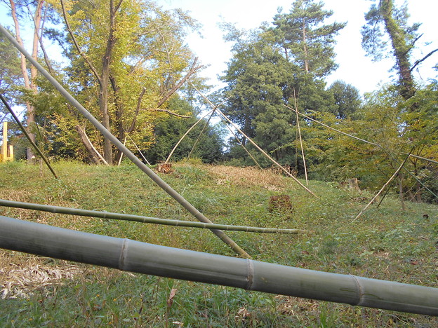 写真: 武田　守弘さん