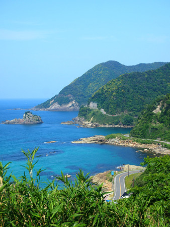 竹野