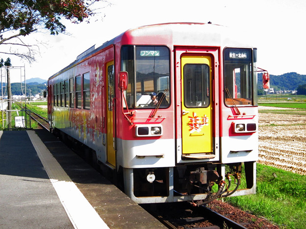 フラワ2000-1