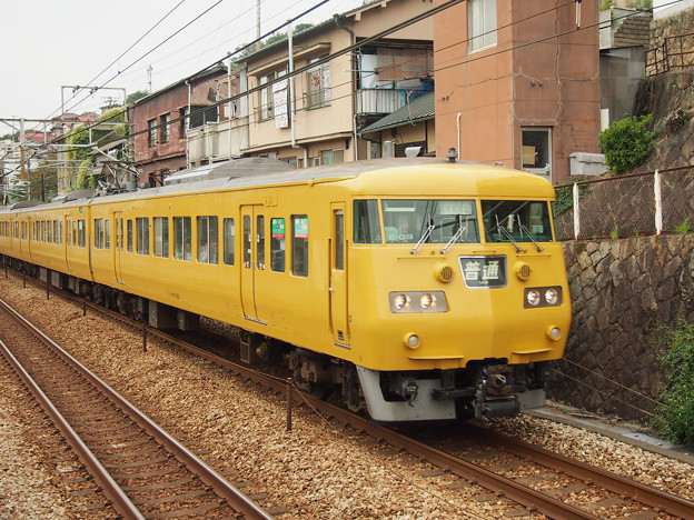 117系