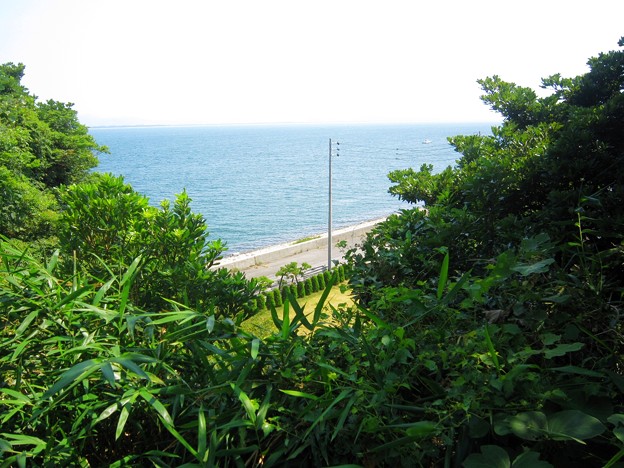 篠島北部