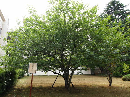 P6190684