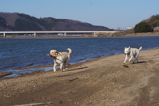 風の町