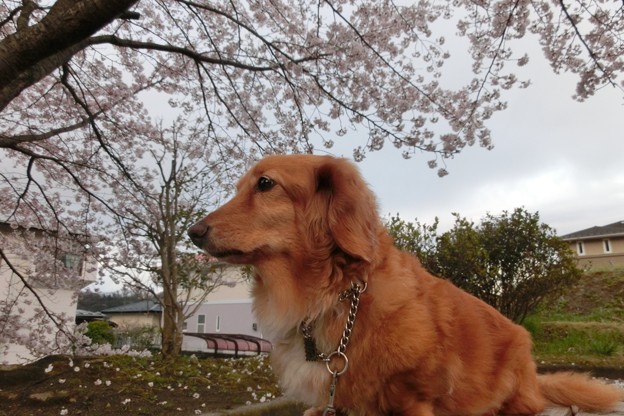 雨上がり