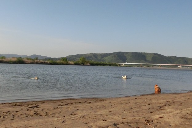 川遊び