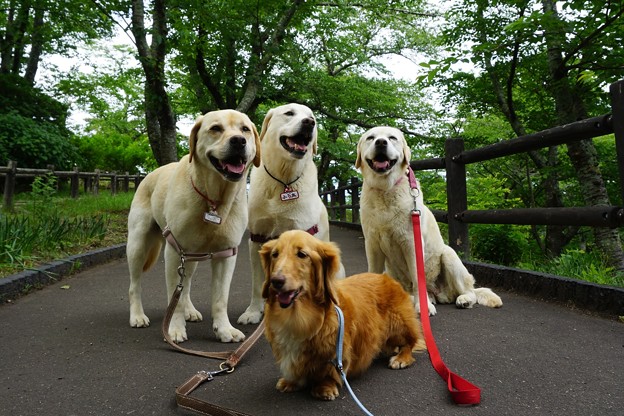 城址公園