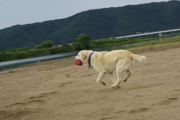 川原遊び