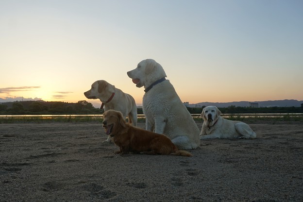夕暮れ時
