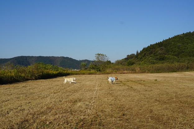 ２０度越え