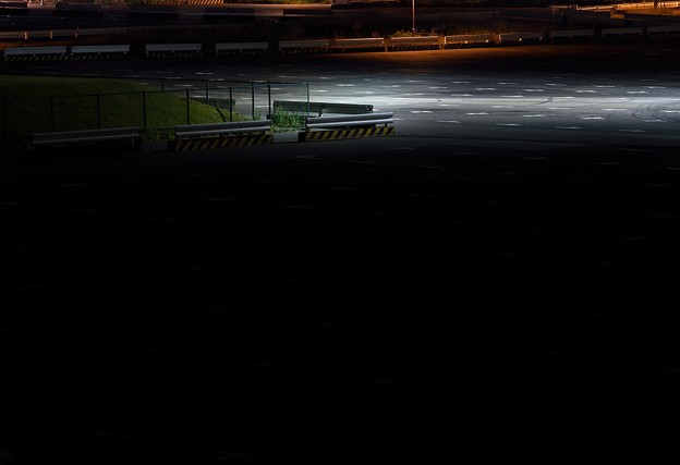DSC_2510
