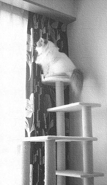 想いに耽る