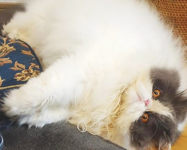 ハイハイのびてます(笑)