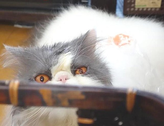 行かないで!アピール(笑)