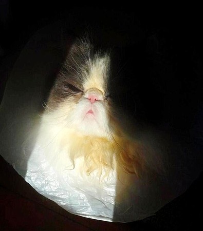 光が眩しいの