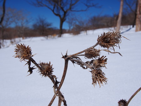 P3040331