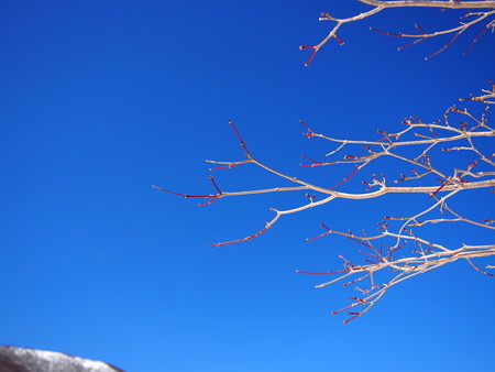 P3040333