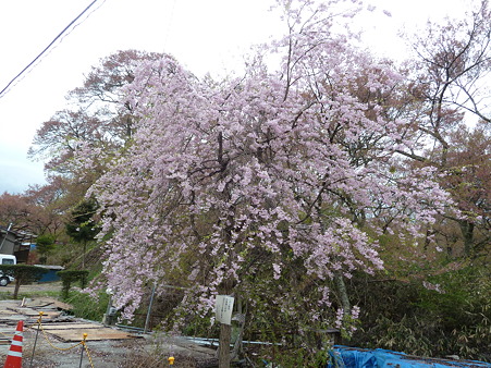 2011甲信 021