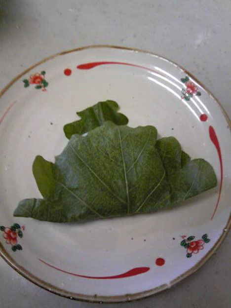 カシワモーチ 写真共有サイト フォト蔵