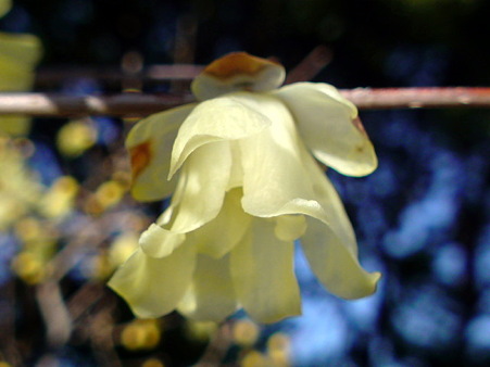 037
