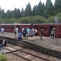 Photos: 大畑駅内を歩き回る観光客たち