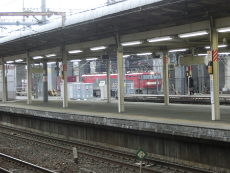 CIMG8728