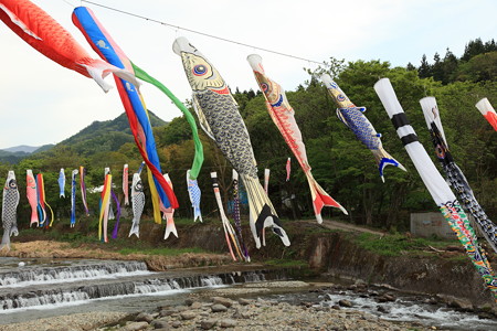 高瀬地区鯉のぼり