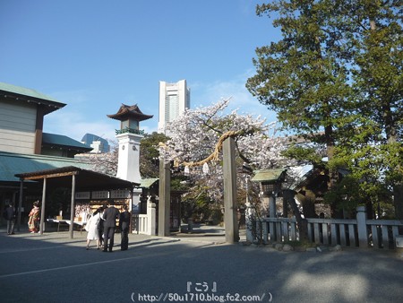 150328-伊勢山皇大神宮 (12)
