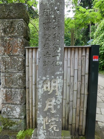 160606-明月院 (195)