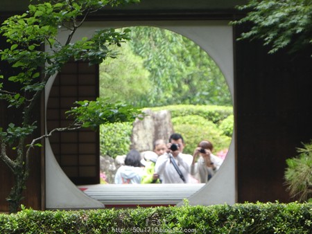 160606-明月院 (158)