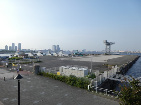 160707-ハンマーヘッド (4)