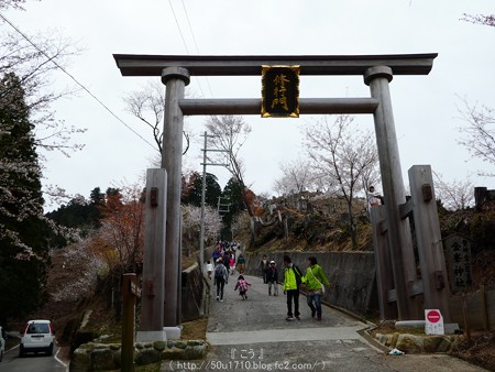 160410-吉野山 (23)