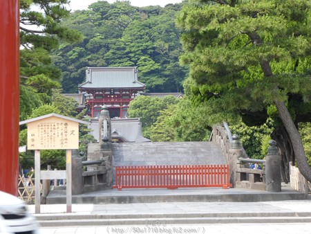 160606-鶴岡八幡宮 (2)