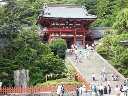 160606-鶴岡八幡宮 (12)