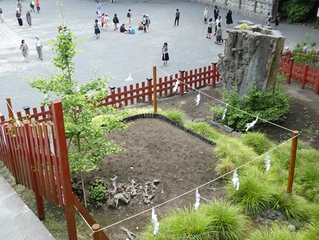 160606-鶴岡八幡宮 (19)