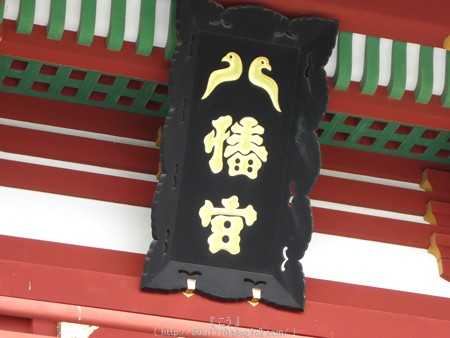 160606-鶴岡八幡宮 (23)