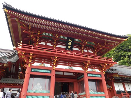 160606-鶴岡八幡宮 (24)