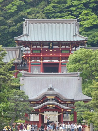 160606-鶴岡八幡宮 (35)