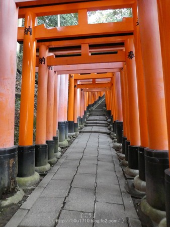 161229-伏見稲荷 (125)
