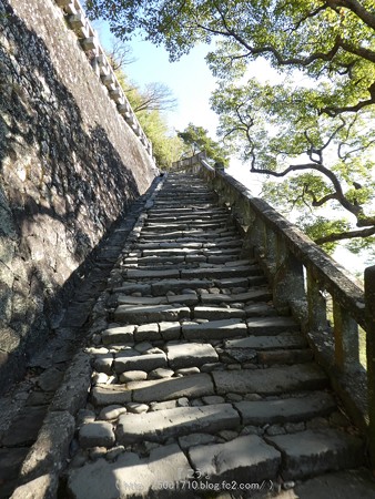 170110-久能山東照宮 (48)