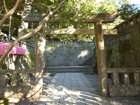 170110-久能山東照宮 (151)