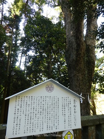 170110-久能山東照宮 (160)