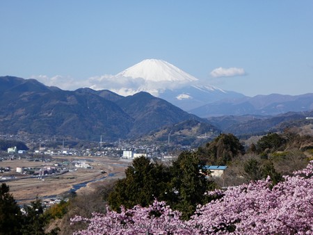 170208-富士山 (7)