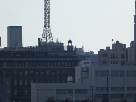 170312-大桟橋 (10)