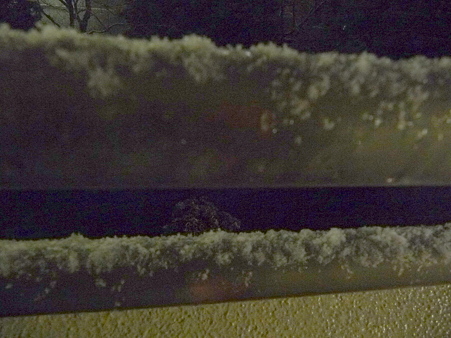 110214-雪降ってきた (3)
