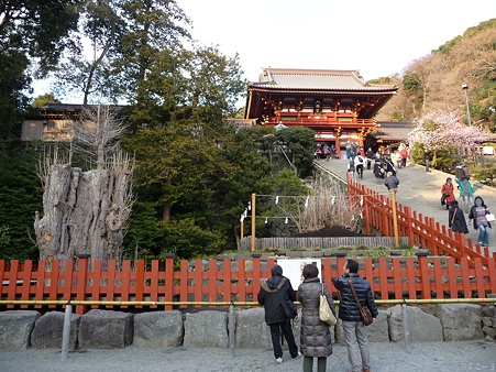 110308-鶴岡八幡宮 (5)