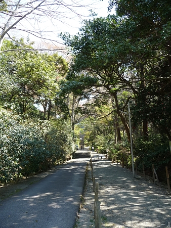 110406-妙本寺 (3)