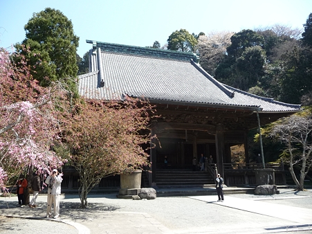 110406-妙本寺 (15)