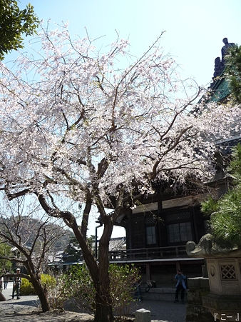110406-本覚寺 (10)