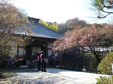 110406-光則寺 (26)