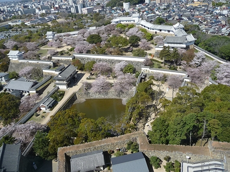110417-姫路城 (58)